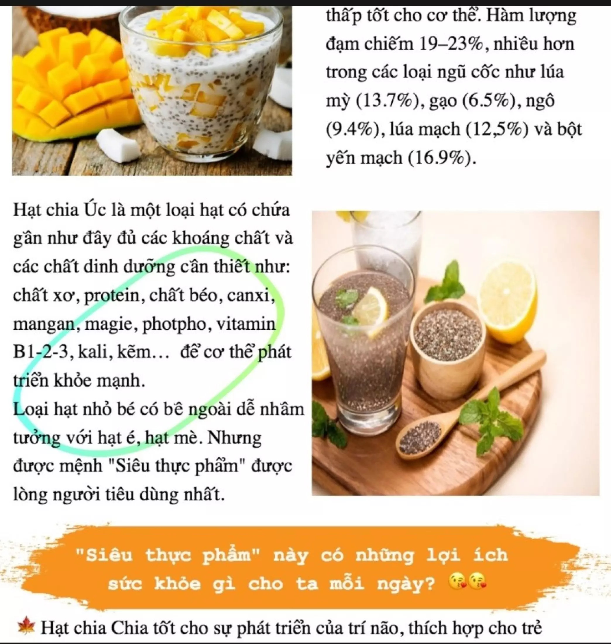 Hạt Chia Đen 500g Úc Black Bag Chia