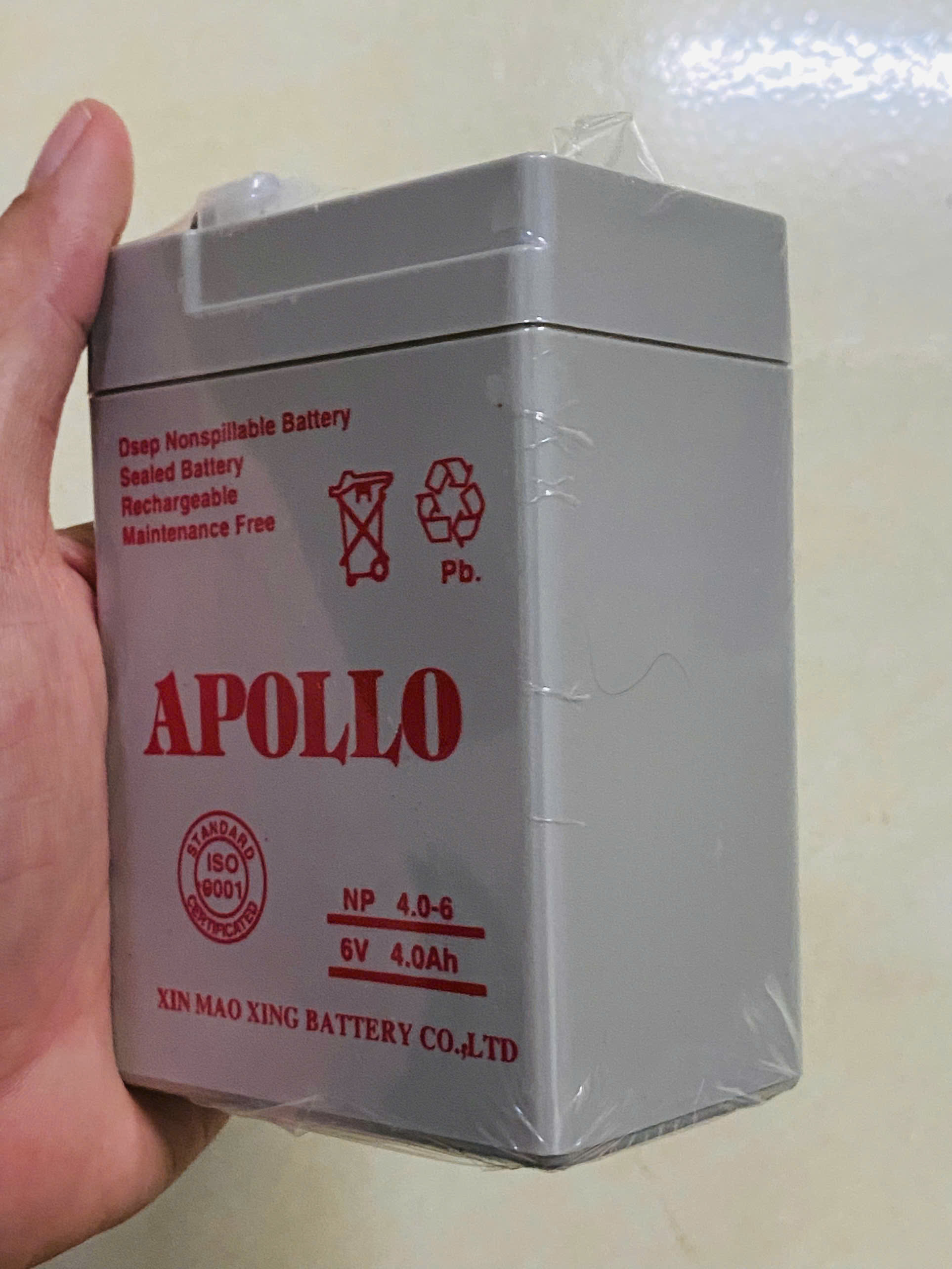 Bình ắc quy khô APOLLO 6V 4AH - NP 4-6