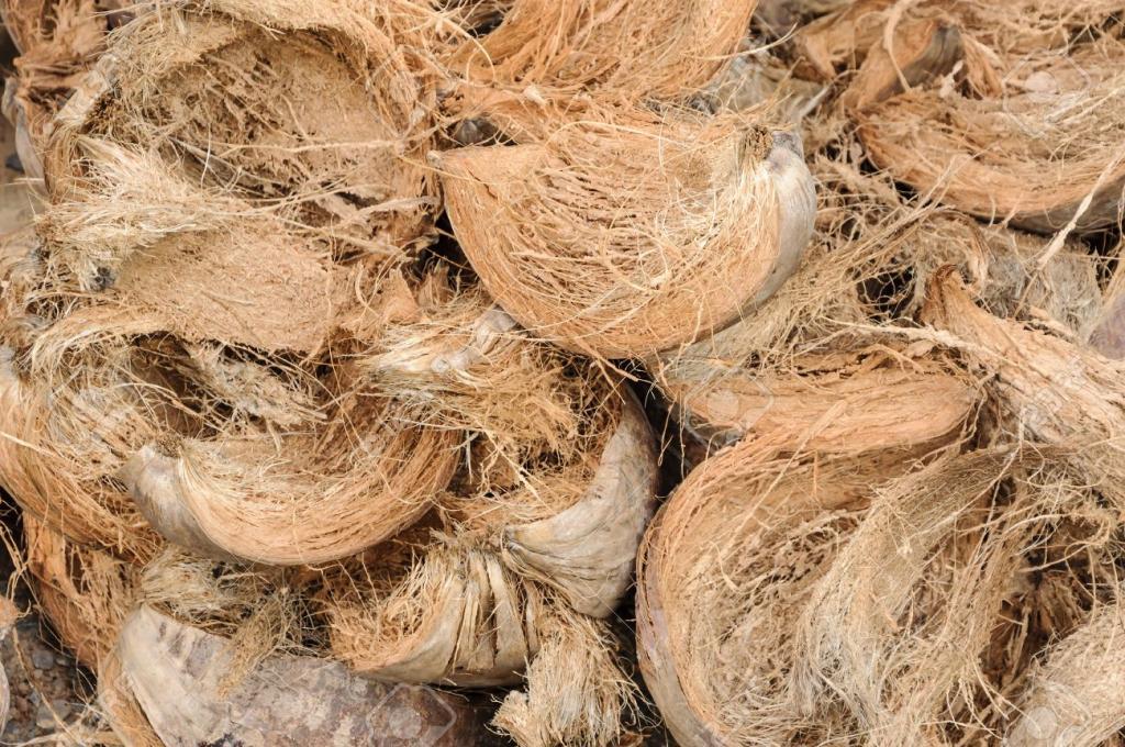Xơ dừa miếng trồng hoa lan, Túi 200g