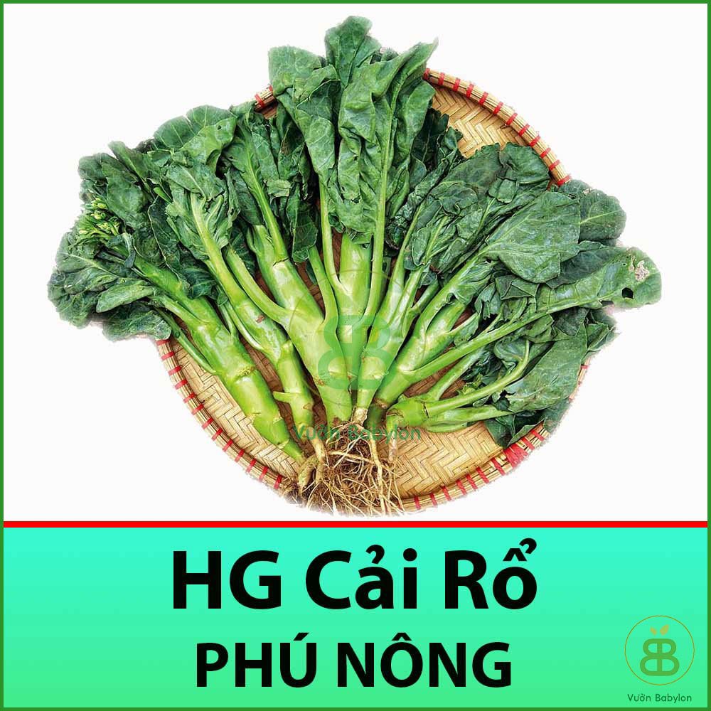 10GR Hạt Giống Cải Rổ Mập (Cải Làn) Siêu Ngọt