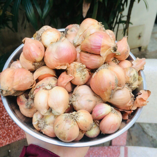 HÀNH TA KHÔ CẮT CUỐNG 500G