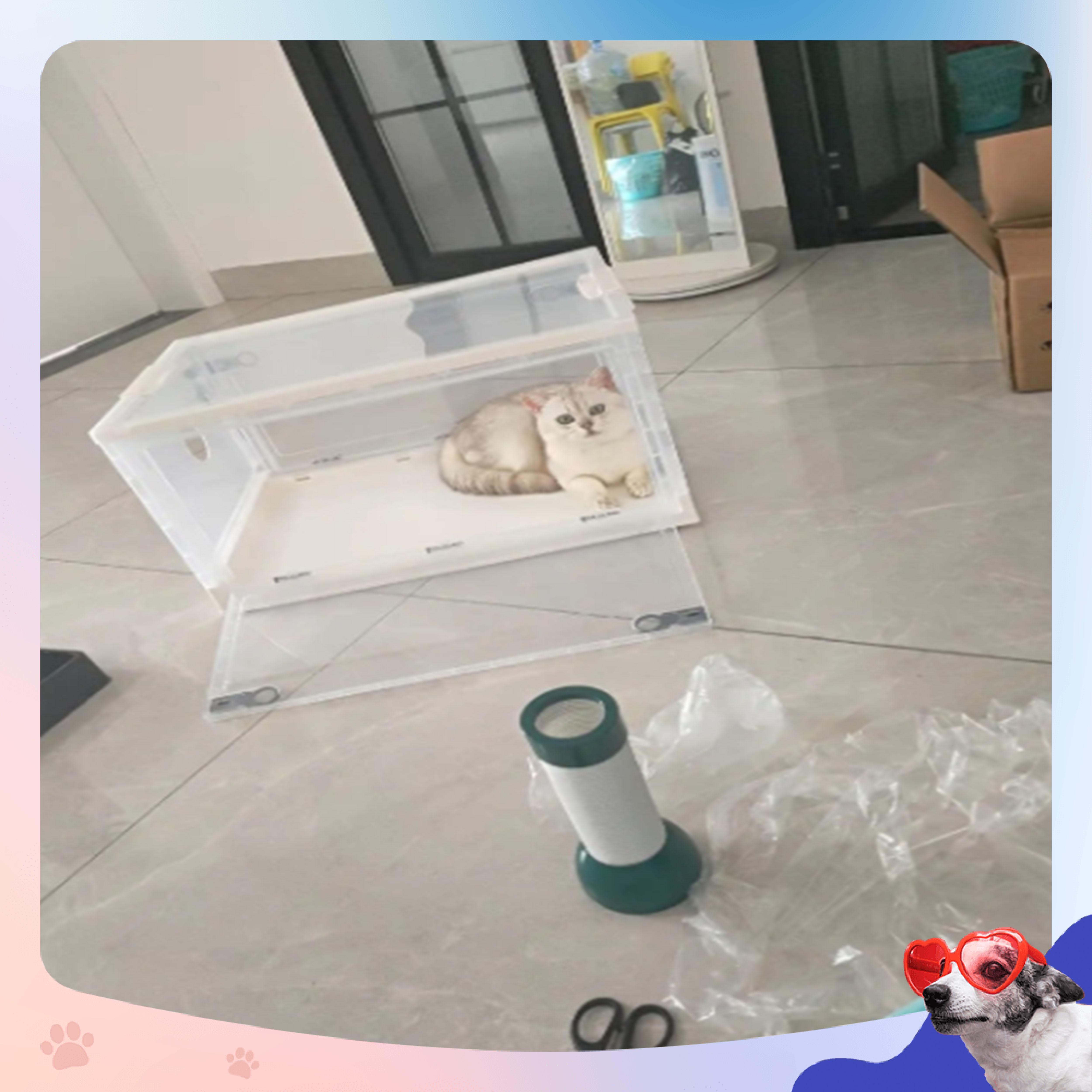 Hộp sấy lông Thú cưng + Máy sấy