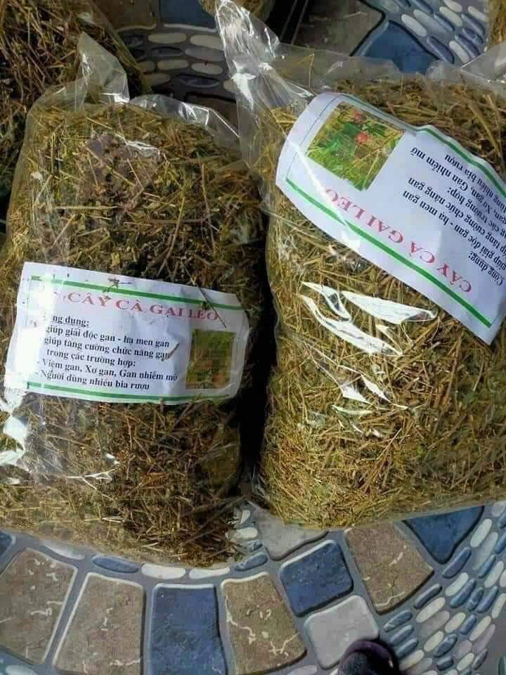 (Dược liệu khô) Cây Cà gai leo phơi khô 500g