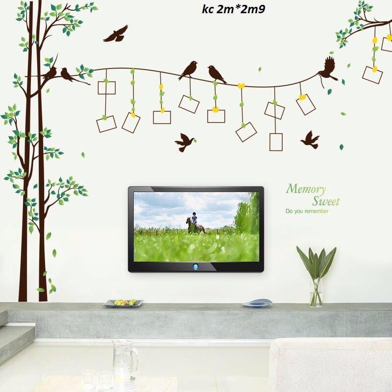 decal dán tường cây khung ảnh mẫu to