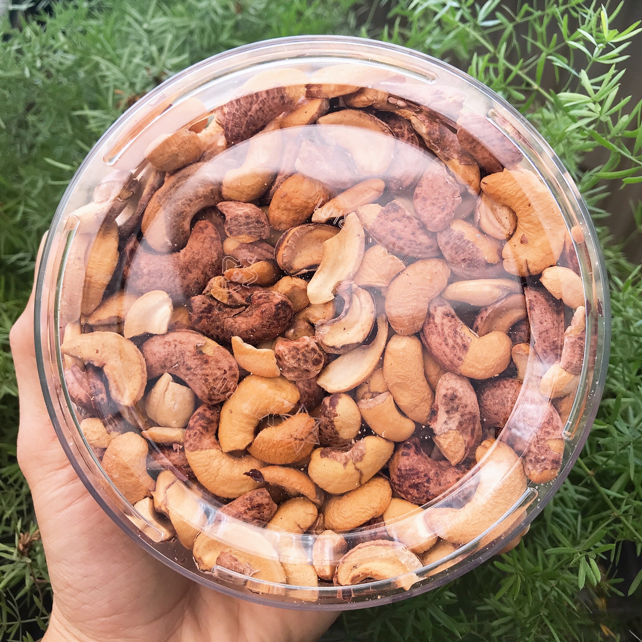 Hạt Điều Rang Muối Bình Phước Hàng A Cồ Hộp 500gr Ngon Nhất