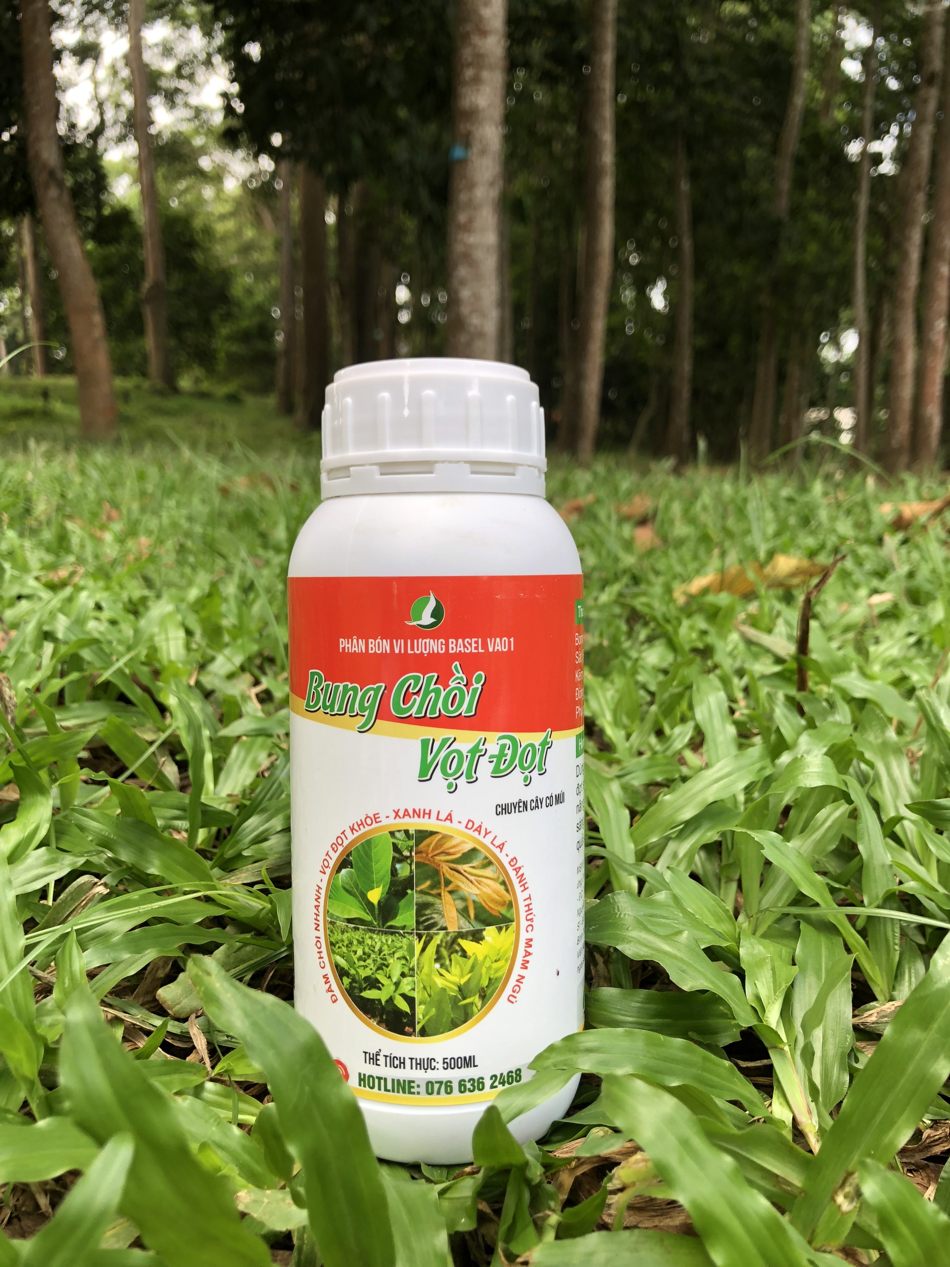 BUNG CHỒI VỌT ĐỌT CÂY ĂN TRÁI (chai 500ml)