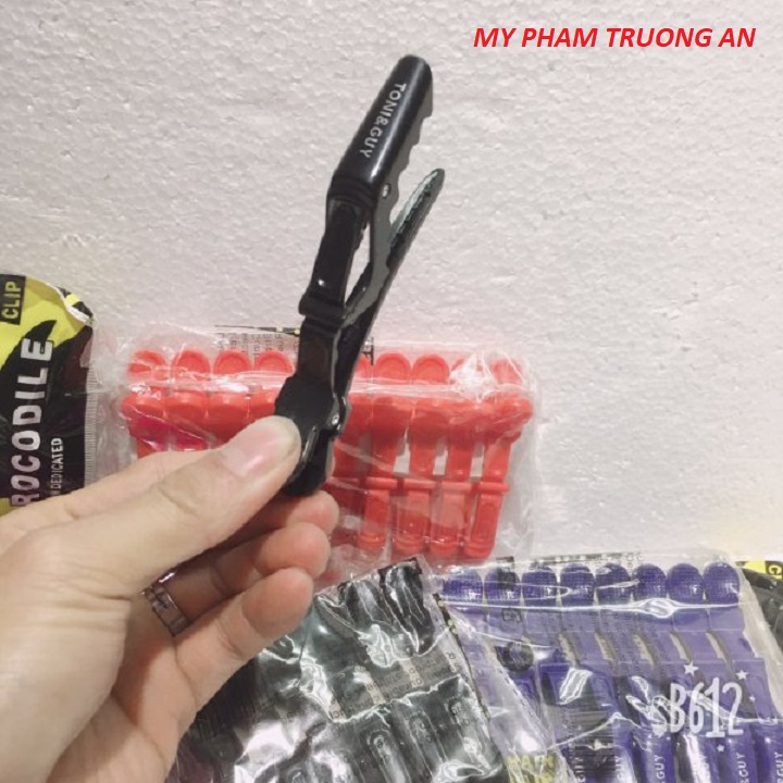 Hair Clips (1 Pack of 10 Clips)