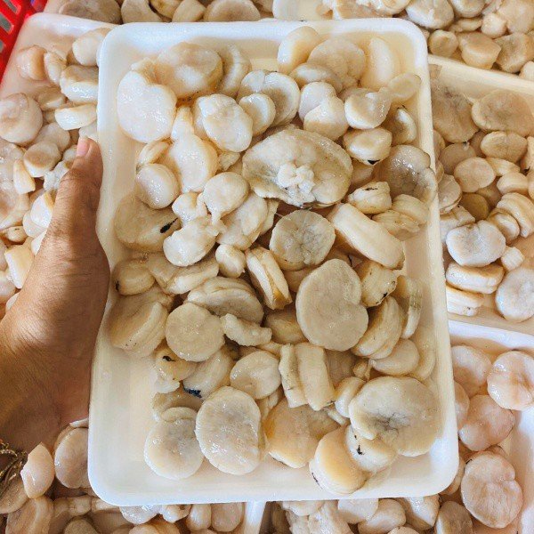 [GIAO NHANH 2H HCM] Giá Sỉ 1Kg Cồi Sò Mai