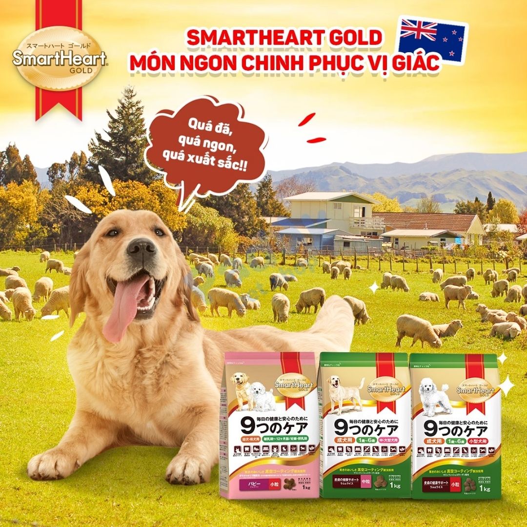Hạt Cho Chó SmartHeart Gold Cao Cấp Vị Cừu & Gạo