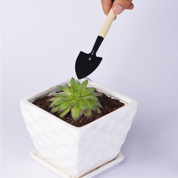 Bộ cuốc xẻng làm vườn mini