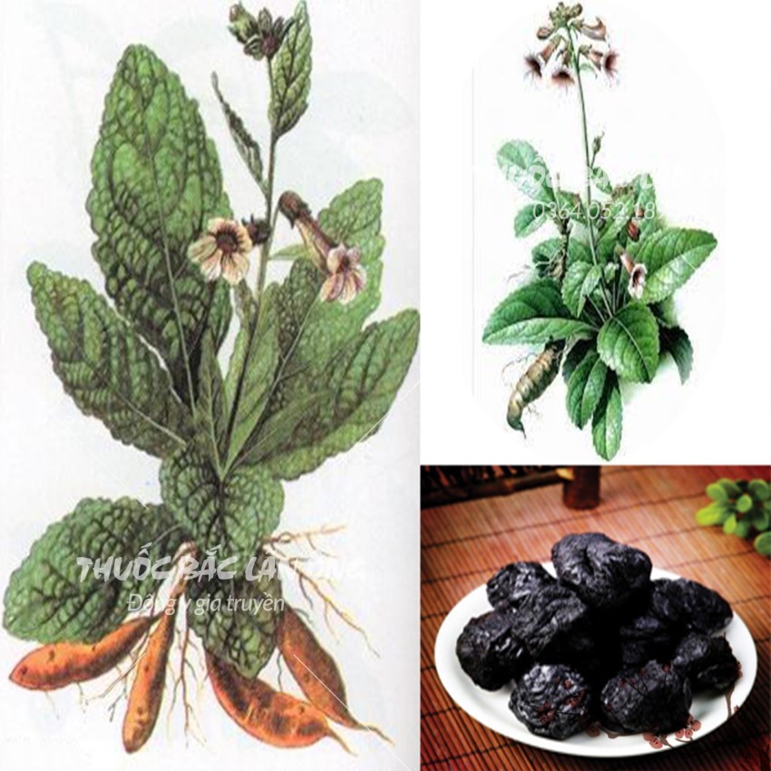 Thuc Dia Cui to 500g (Grade 1 Product), Delicious Ginseng Squash Soup