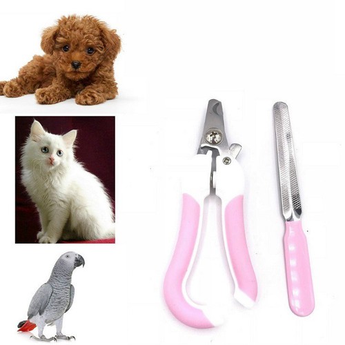 BỘ KÌM BẤM MÓNG + GIŨA MÓNG CHO CHÓ MÈO 2 size
