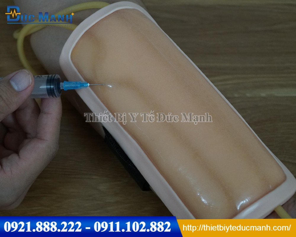 Mô hình tiêm tĩnh mạch