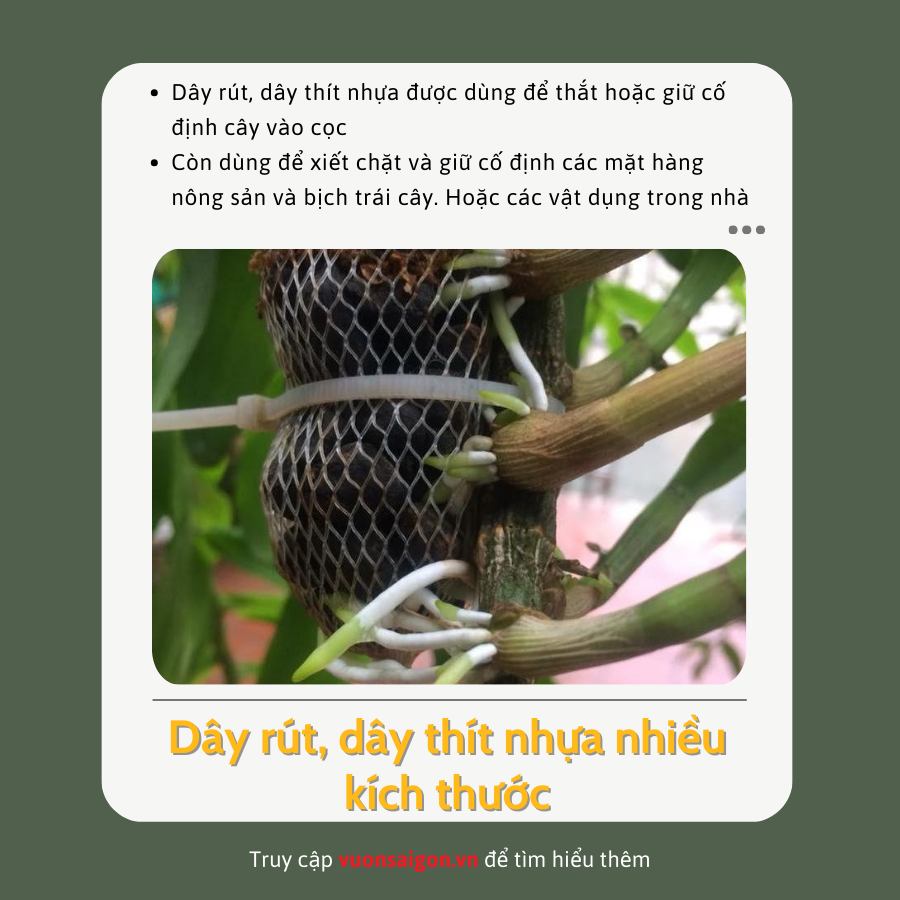 Dây rút cố định giàn leo, vật dụng gia đình (Vườn Sài Gòn - Vuon Sai Gon)