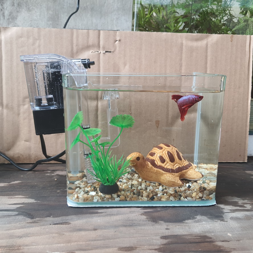 Bể cá mini 18 cm và 5 món (bể, sỏi nền, máy lọc, cây nhựa mini, pk nhỏ)
