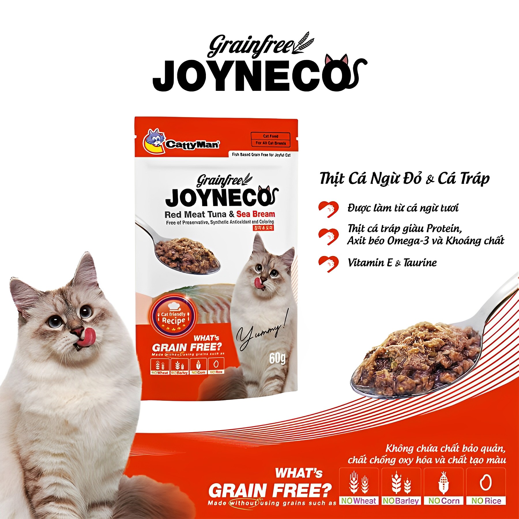 Pate Mèo Joyneco CattyMan Cá Tươi Giàu Dinh Dưỡng 60g