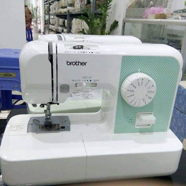 May May Gia Đình Nhật Bản Brother