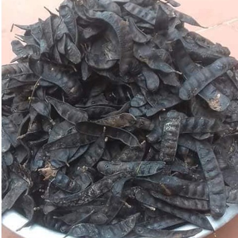 Quả bồ kết tự nhiên