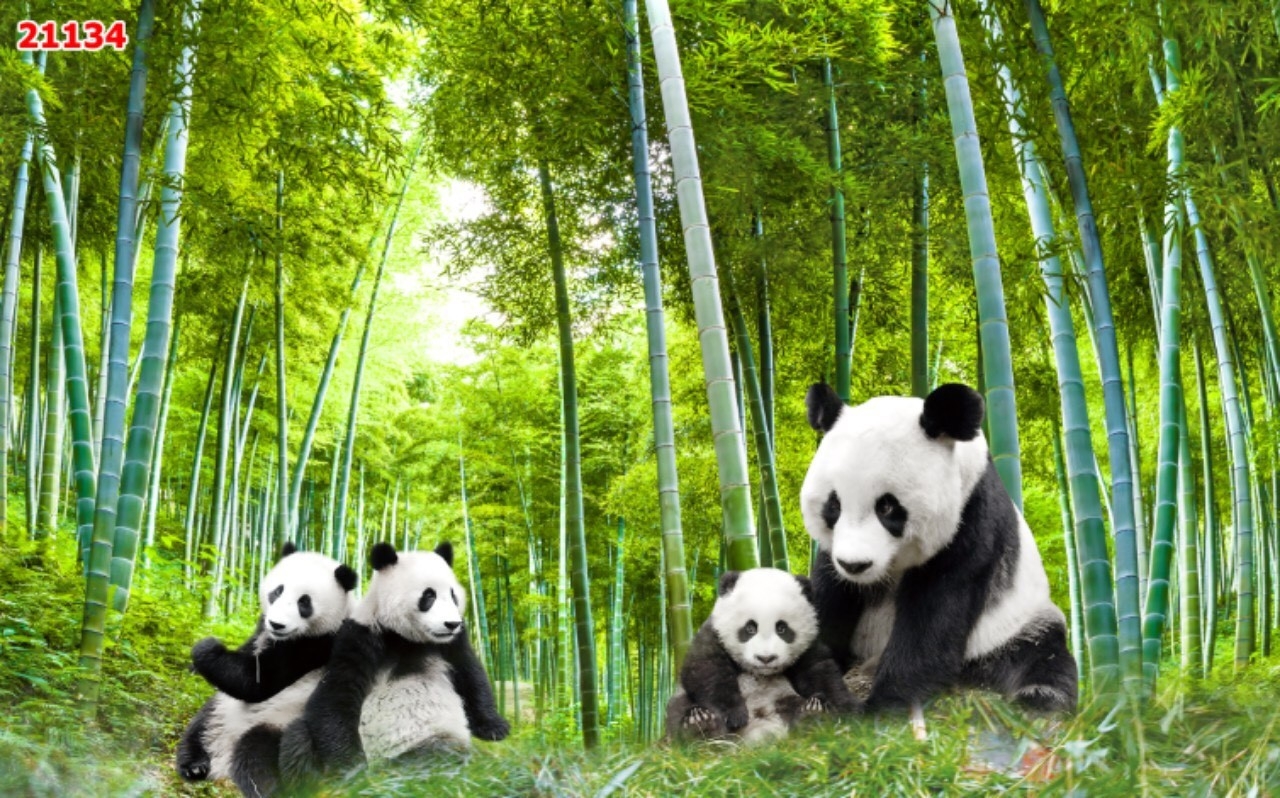 Tranh 3D rừng trúc xanh dán tường
