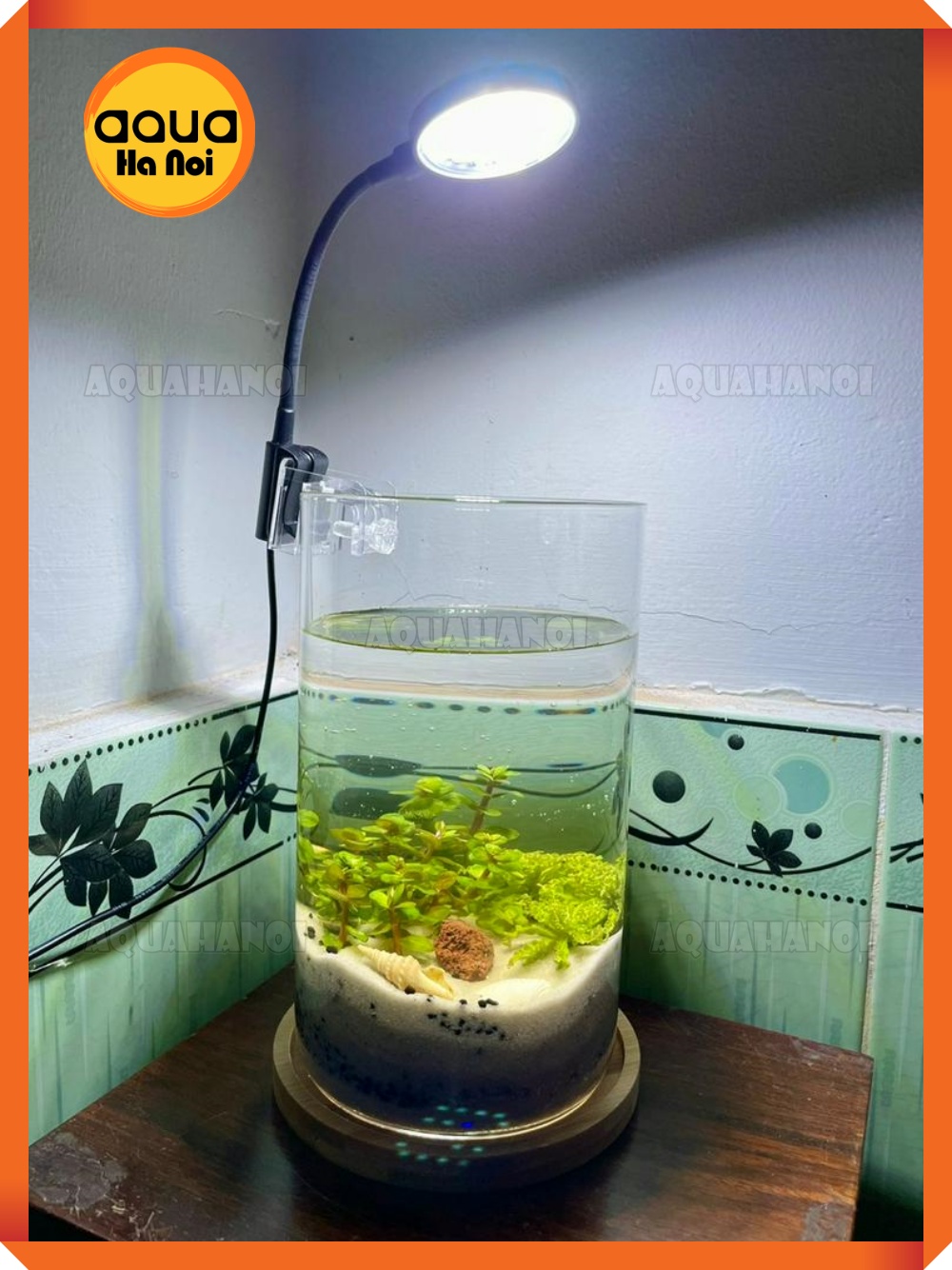 Đèn led rọi bể cá thủy sinh mini Coco JY-25