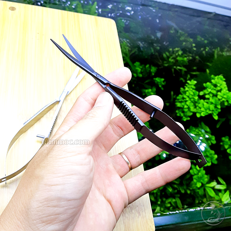 Kéo lò xo kiểu ada || kéo tỉa cây thuỷ sinh mini dạng lò xo, chuyên dùng tỉa ráy, bucep