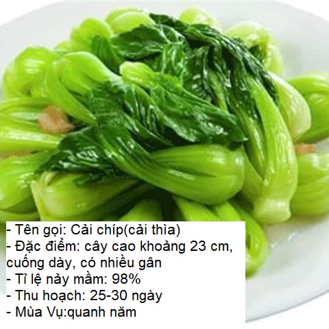 Gói 20gram Hạt giống rau cải chíp (cải thìa - cải chít) -STT0012