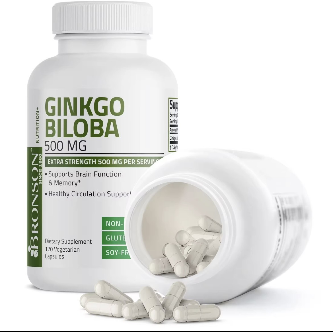 GINKGO BILOBA 500mg