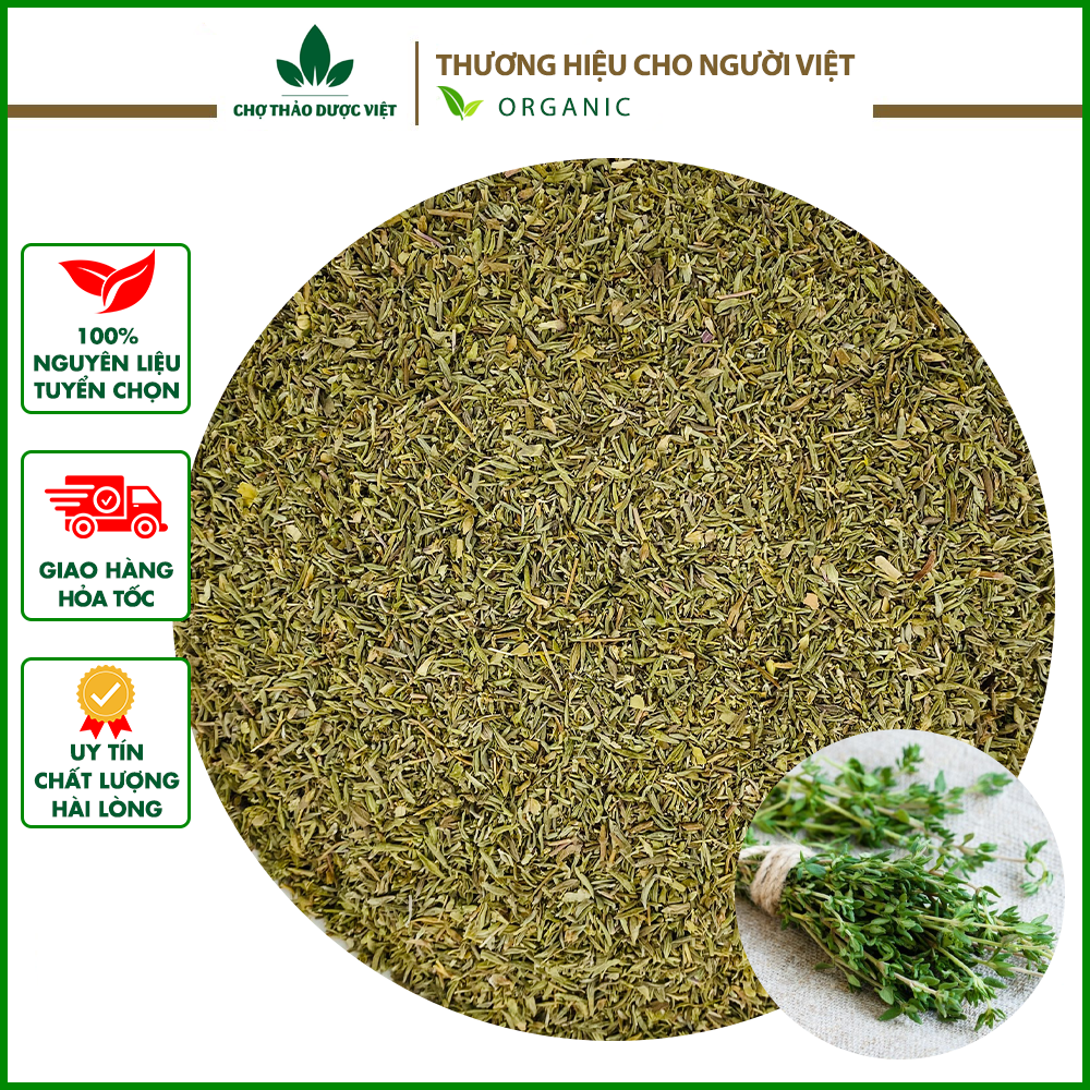 1kg Thyme, lá thơm xạ hương nấu món Âu, hầm steak - Chợ Thảo Dược Việt