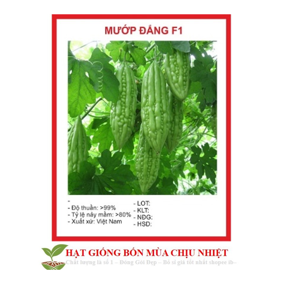 MJ34C Hạt Giông Mướp Đắng 5 Hạt