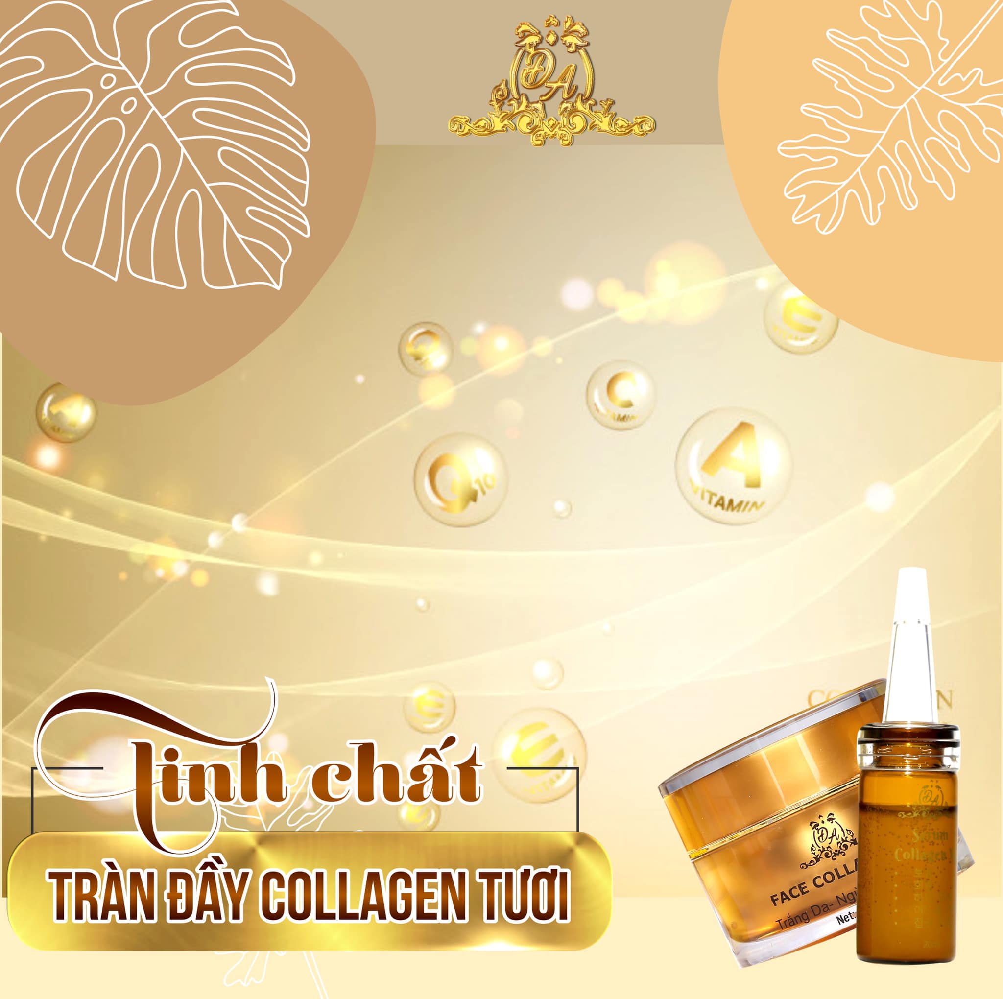 COMBO DƯỠNG DA KEM FACE BAN ĐÊM & SERUM ĐÔNG TRÙNG HẠ THẢO MP ĐÔNG ANH