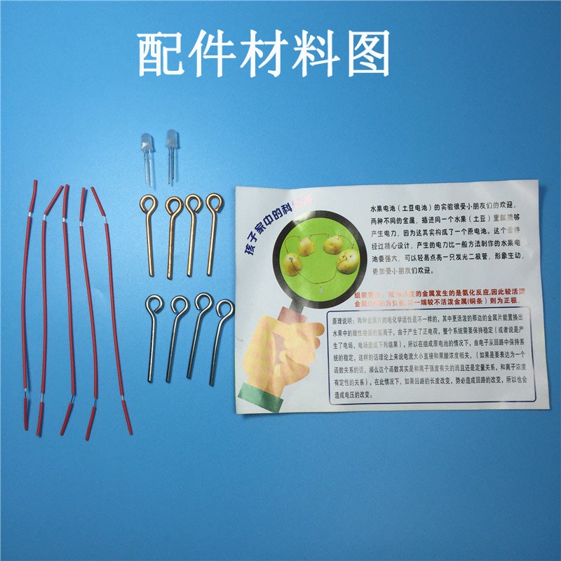 The experimental science magnetic generator battery creative fruit for scientific research stem
