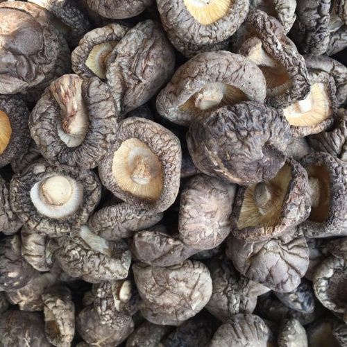 [HCM] 100g Nấm Đông Cô Khô