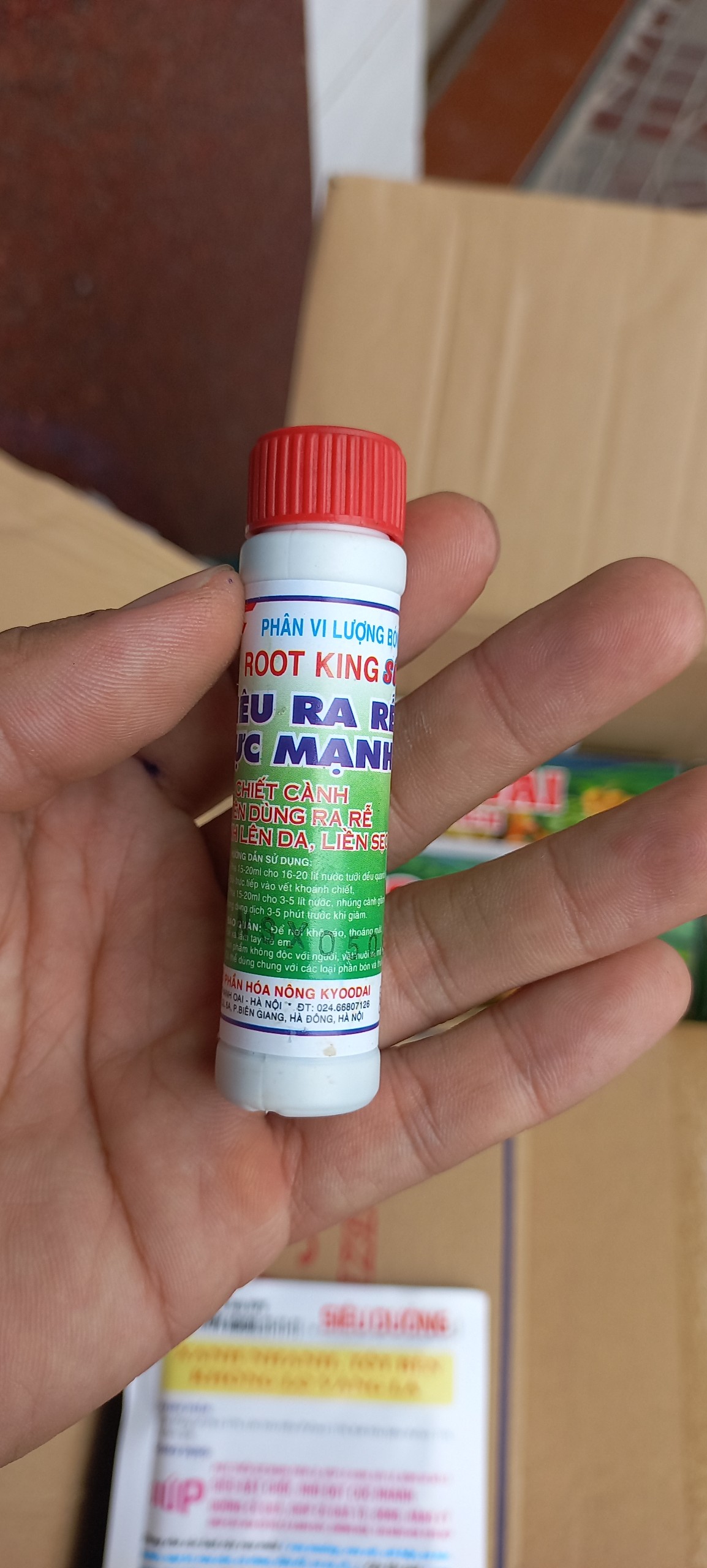 ROOT KING SIÊU RA RỄ
