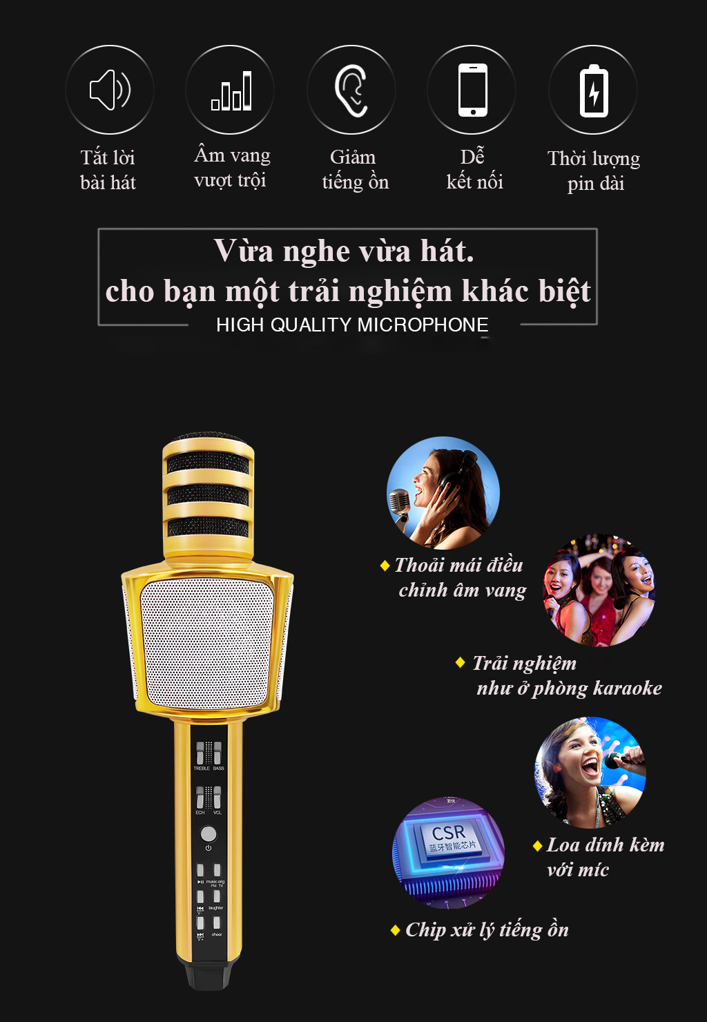 Micro karaoke bluetooth chính hãng SD17 của SDRD