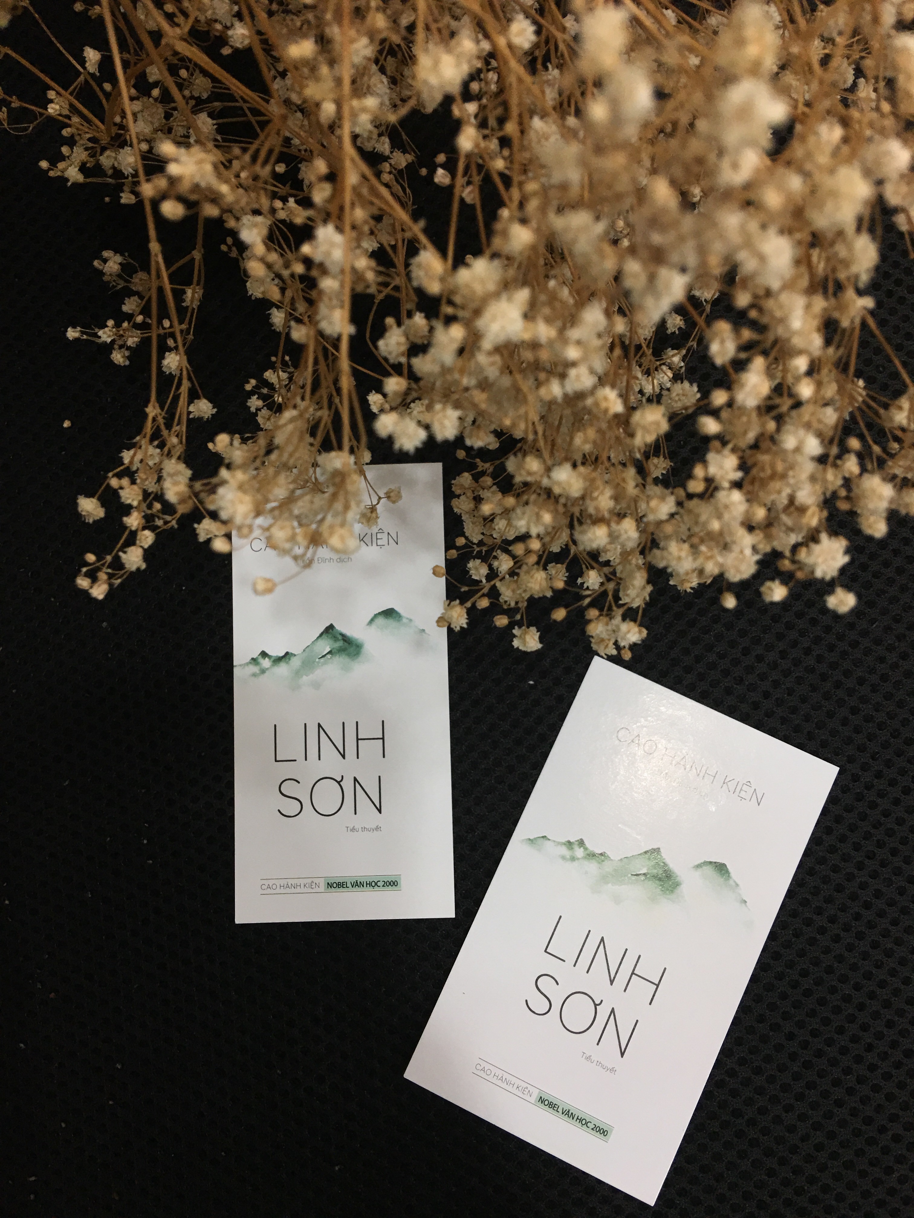 Sách - Linh Sơn - Cao Hành Kiện