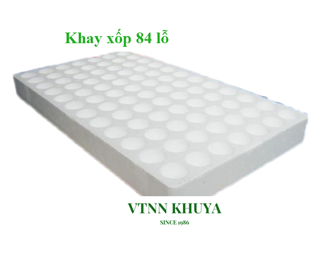 Khay xốp ươm hạt xốp 84 lỗ
