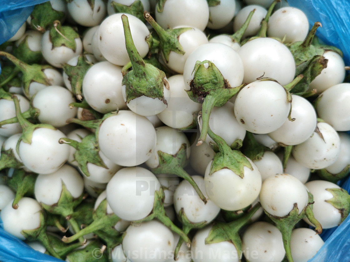 Gói 1 gam hạt giống cây Cà Pháo