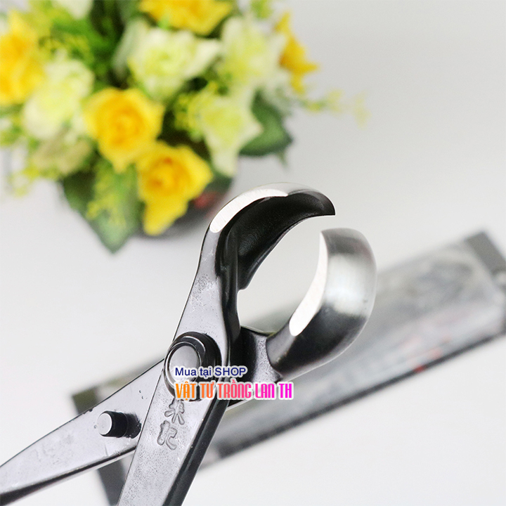Kìm cạp tròn bấm cây hàng Nhật Bản