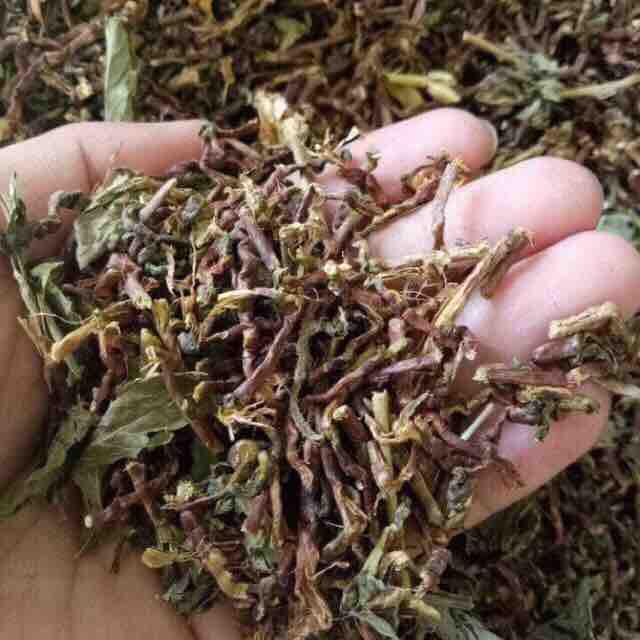 500gr trà sơn mật hồng sâm
