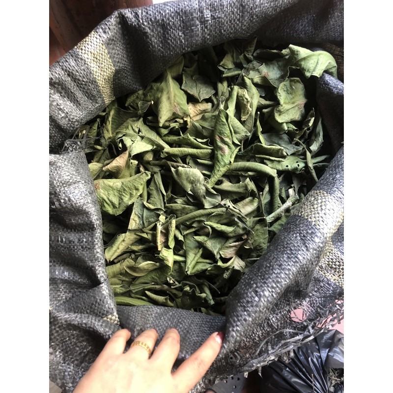 1kg lá bưởi khô hàng looại 1