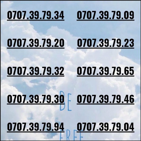 [HCM]Sim thần tài 3979 dễ nhớ phong thủy