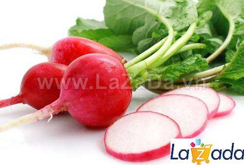 1Gr Hạt Giống Củ Cải Đỏ Cherry (A1.205| G10*W64*M211)