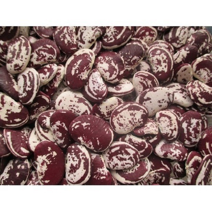 1KG đậu ngự đà lạt hạt to - đậu ngự