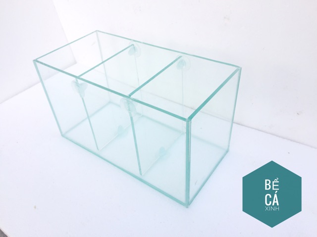 Bể cá 3 ngăn để bàn - bể cá betta cỡ 30*15*16cm-bể cá trang trí