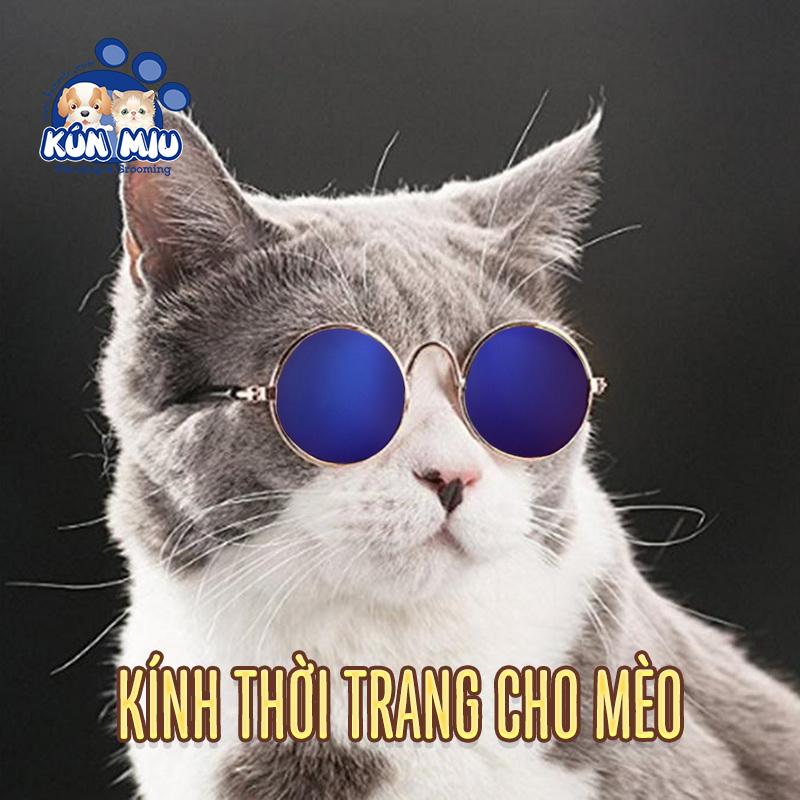 [Hoàn Tiền 10%] Kính thời trang cho mèo, Kính mát, kính râm cho mèo Kún Miu