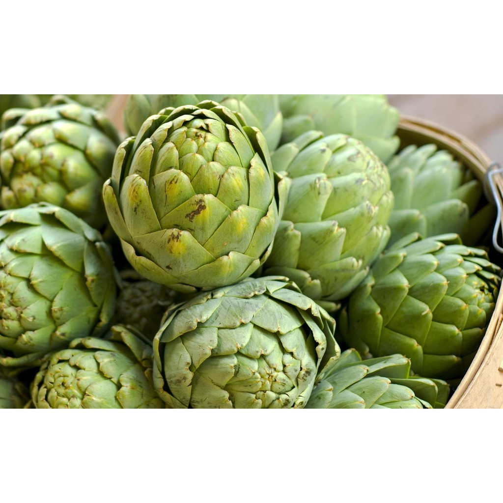 Hạt giống cây hoa atiso xanh Đà Lạt ( gói 04 hạt)