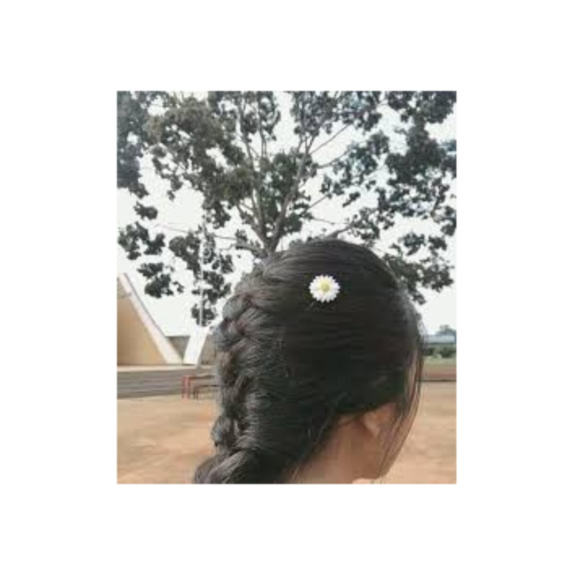 [HCM]SET 3 KẸP HOA CÚC