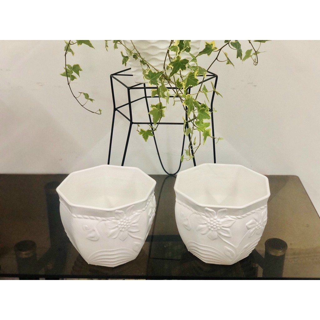 [HCM][GREEN HOUSE] Combo 5 Chậu hoa mây để bàn trắng 17cm