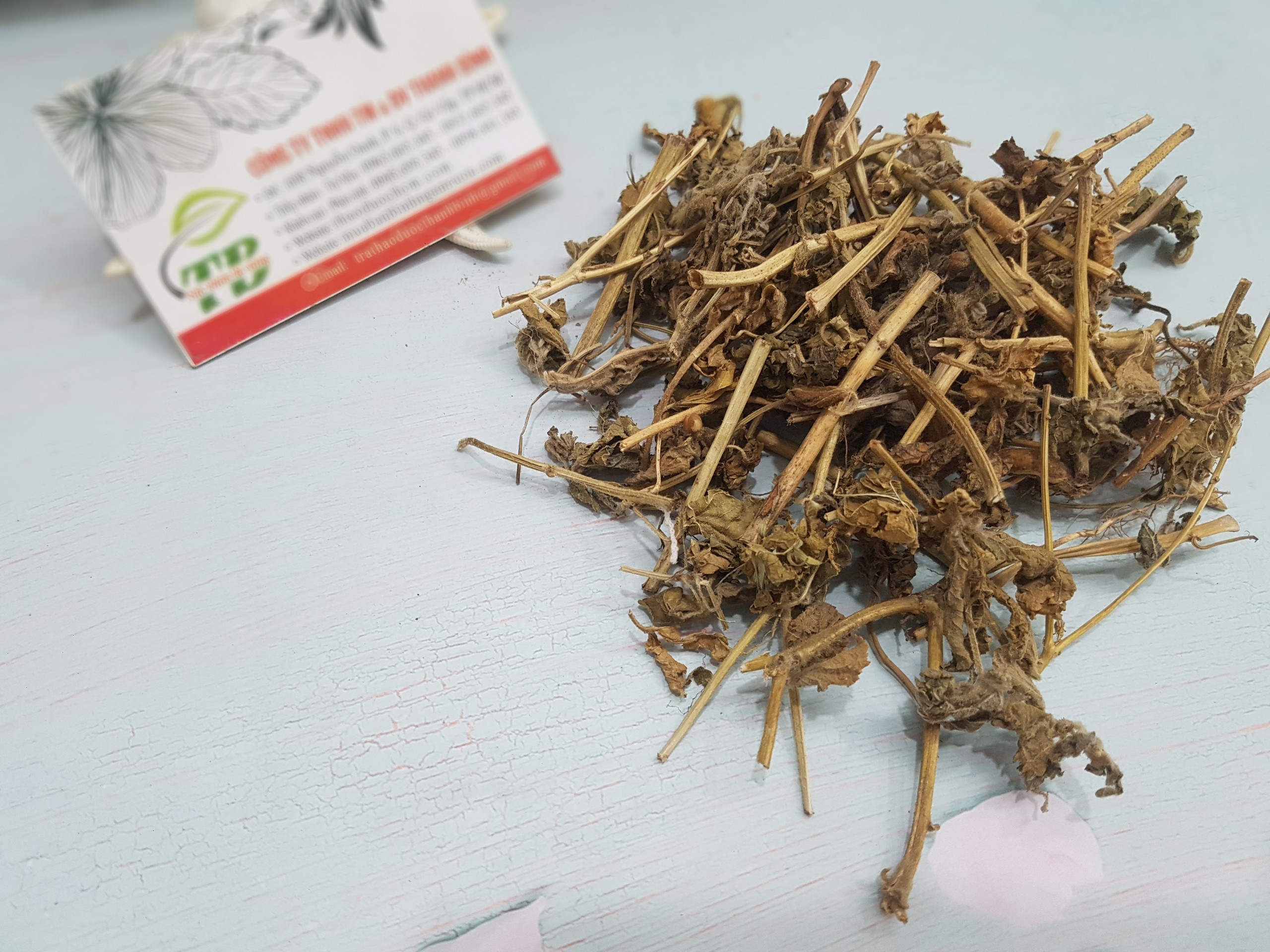 Cây Tầm Ma 1KG Khô - Thảo Dược Thanh Bình