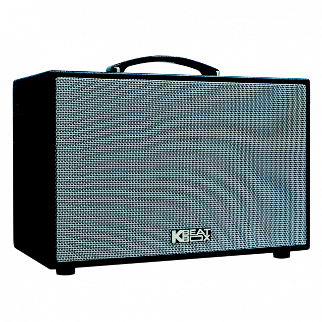 Loa Karaoke mini xách tay ACNOS CS250SON